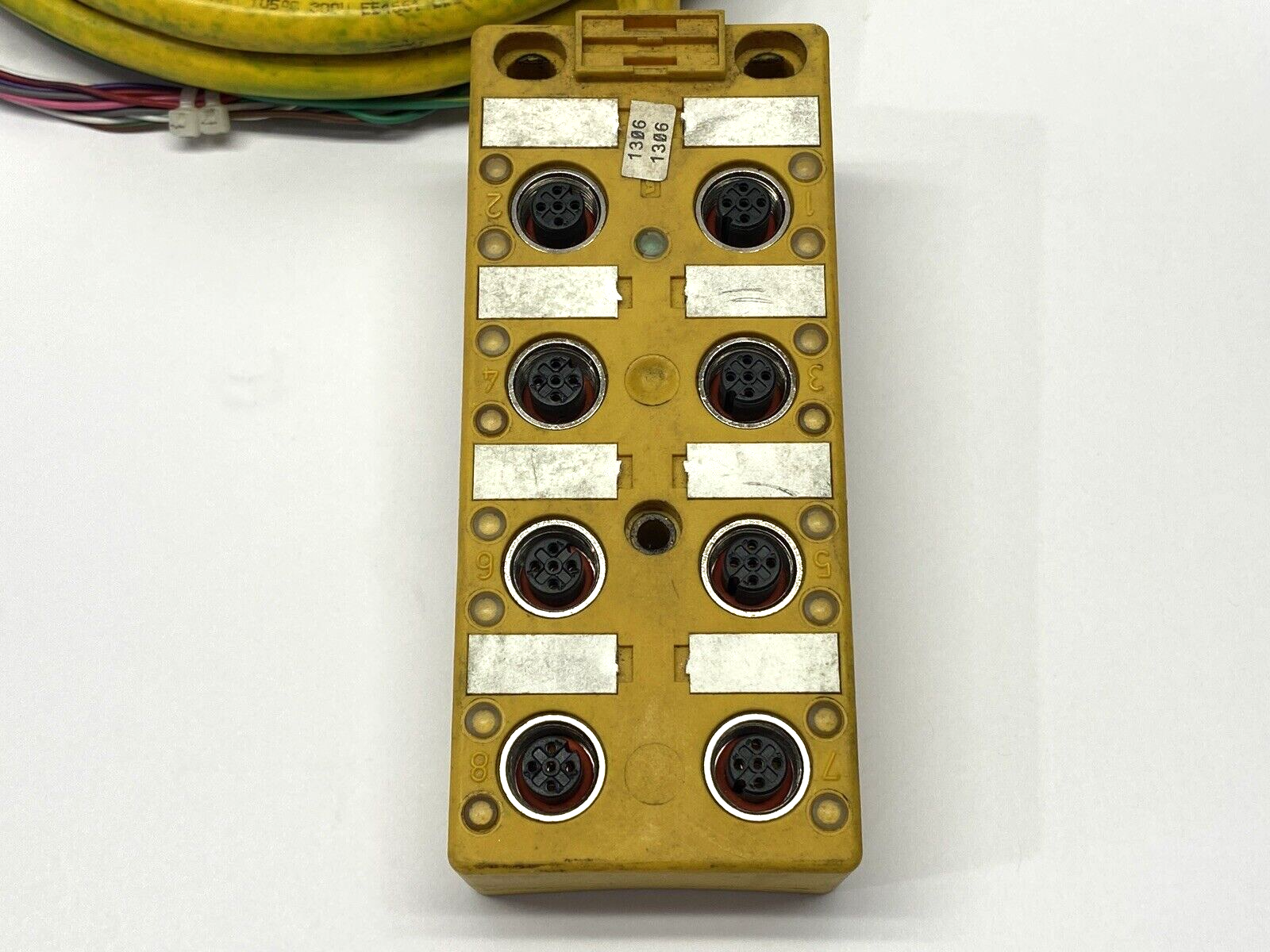 Turck VB 80.5-P7X17-5 Junction Box M12 8-Port U0218 12' CUT CABLE - Maverick Industrial Sales
