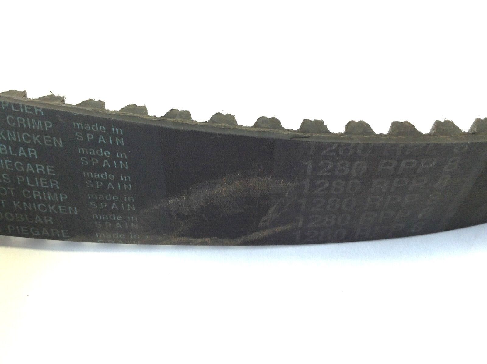 DAYCO Isoran 1280 RPP8 125 Machine Drive Belt - Maverick Industrial Sales