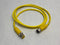 Lumberg Automation RST 5-RKT 5-612/1M Double Ended Cordset 5-Pin M to F - Maverick Industrial Sales