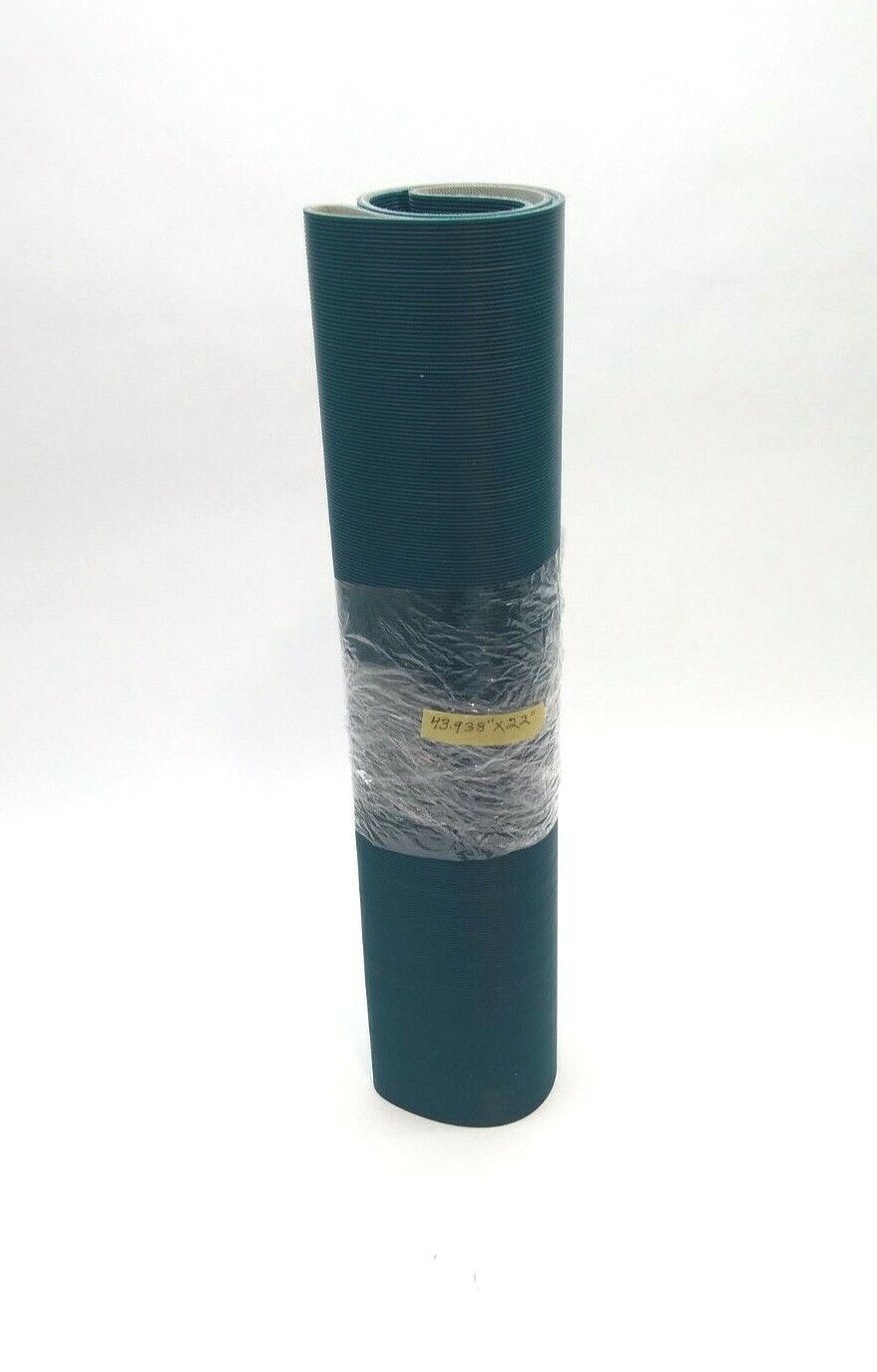 Fleetwood Goldco Wyard SP62P022-0001ZS Conveyor Belt 22 " W X 43.92" L - Maverick Industrial Sales