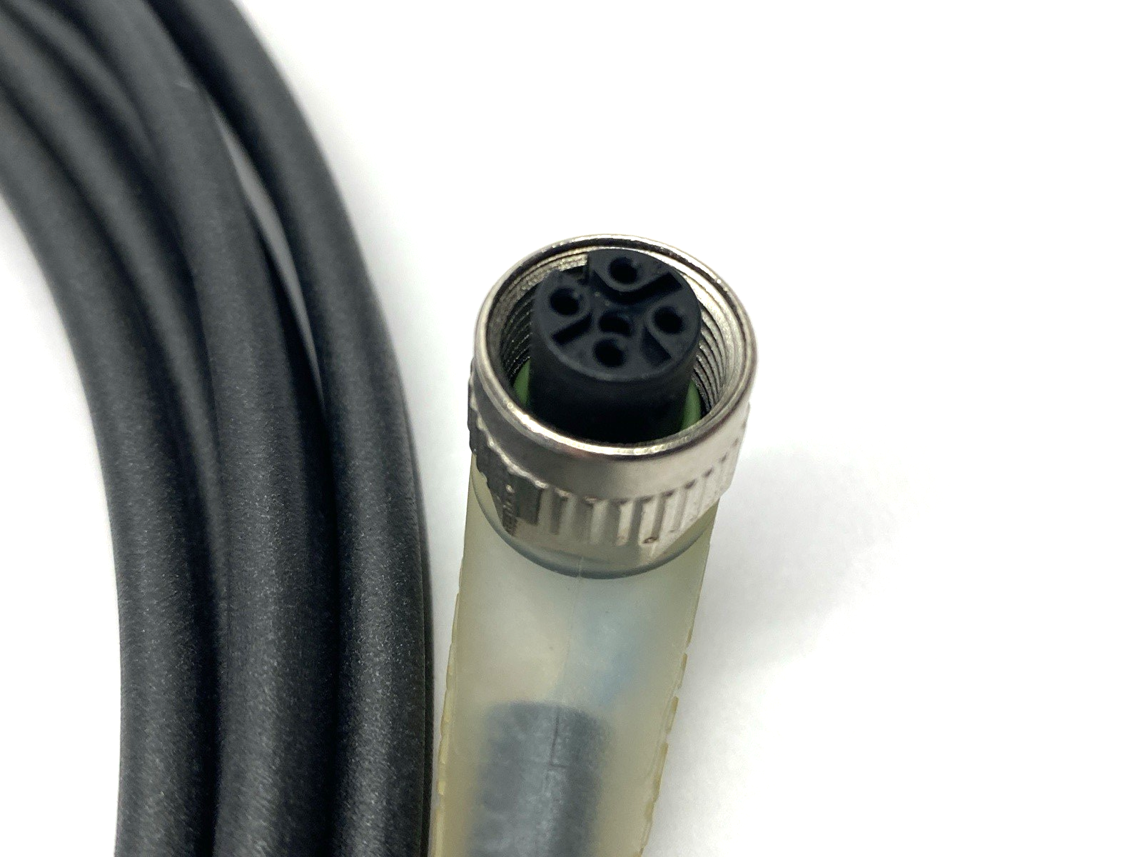 Balluff BCC032P Single Ended Cordset M12 5m BCC M425-0000-1A-008-PX0434-050 - Maverick Industrial Sales