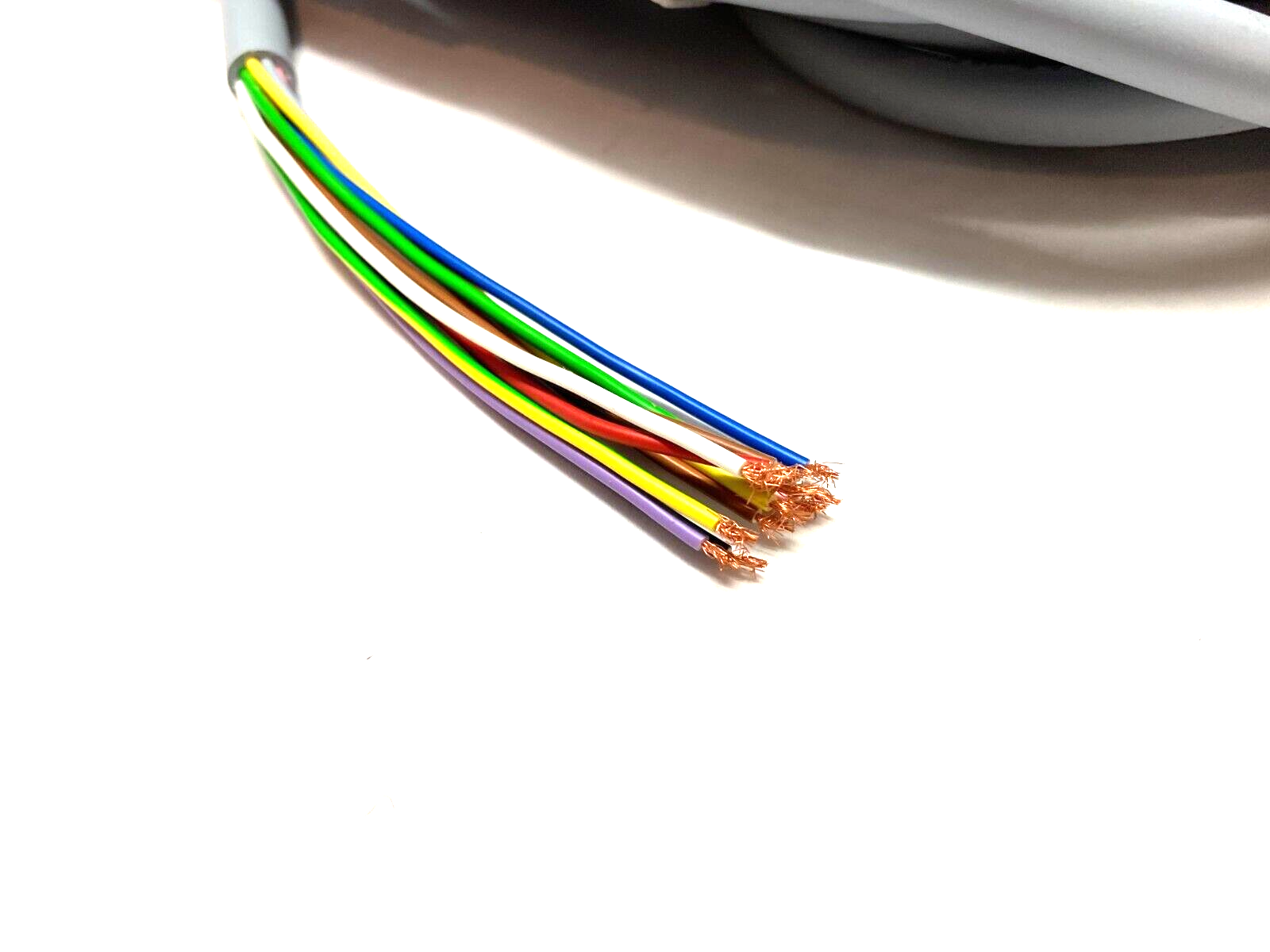 Molex Woodhead 1200948128 Single Ended Power Connection Cordset - Maverick Industrial Sales