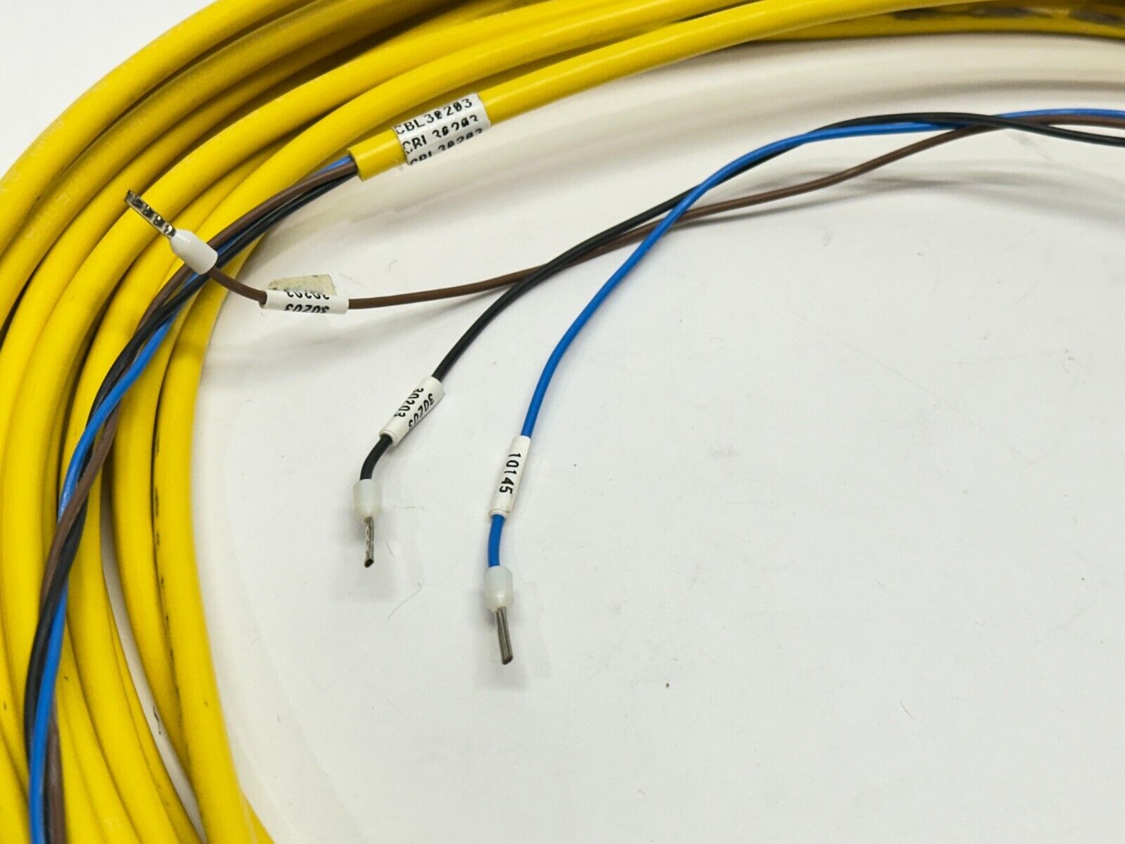 Lumberg Automation RKMV 3-593/20M Sensor / Actuator Cable Female M8 3-Pin 28ft - Maverick Industrial Sales