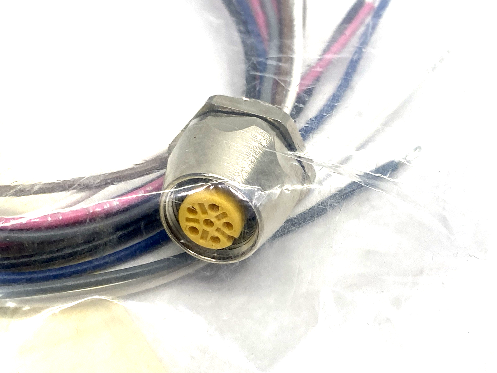 Turck FK 4.6-0.5 6-Pole Panel Mount Receptacle M12 6-Pin Female 0.5m U1117-5 - Maverick Industrial Sales