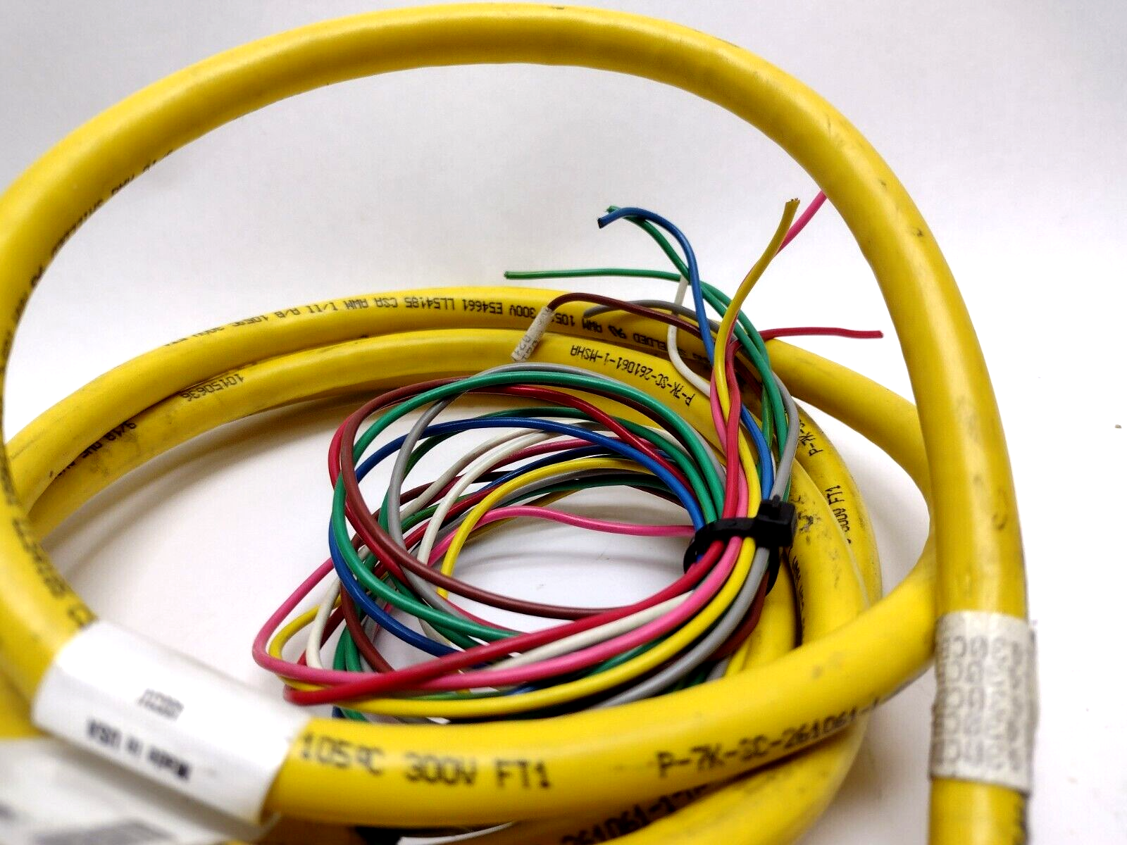 Turck VB 60-5 6-port Multi Box 48V Female M12x1 U7010, 8FT Home Run Cable - Maverick Industrial Sales