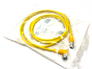 Balluff BCC M425-M414-3A-304-EX44T2-020 Double-Ended Connecting Cordset BCC060R - Maverick Industrial Sales