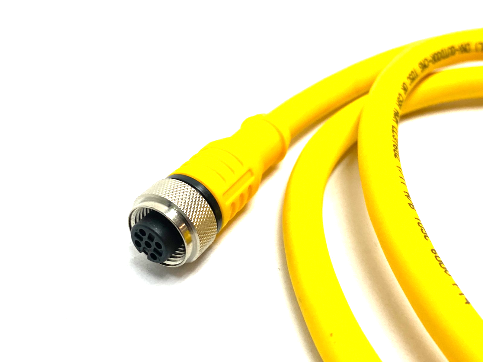 RKC 4.5T-1-RSC 4.5T/CS10288 | Turck Eurofast Double Ended Cordset U0883-73 - Used - Maverick Industrial Sales