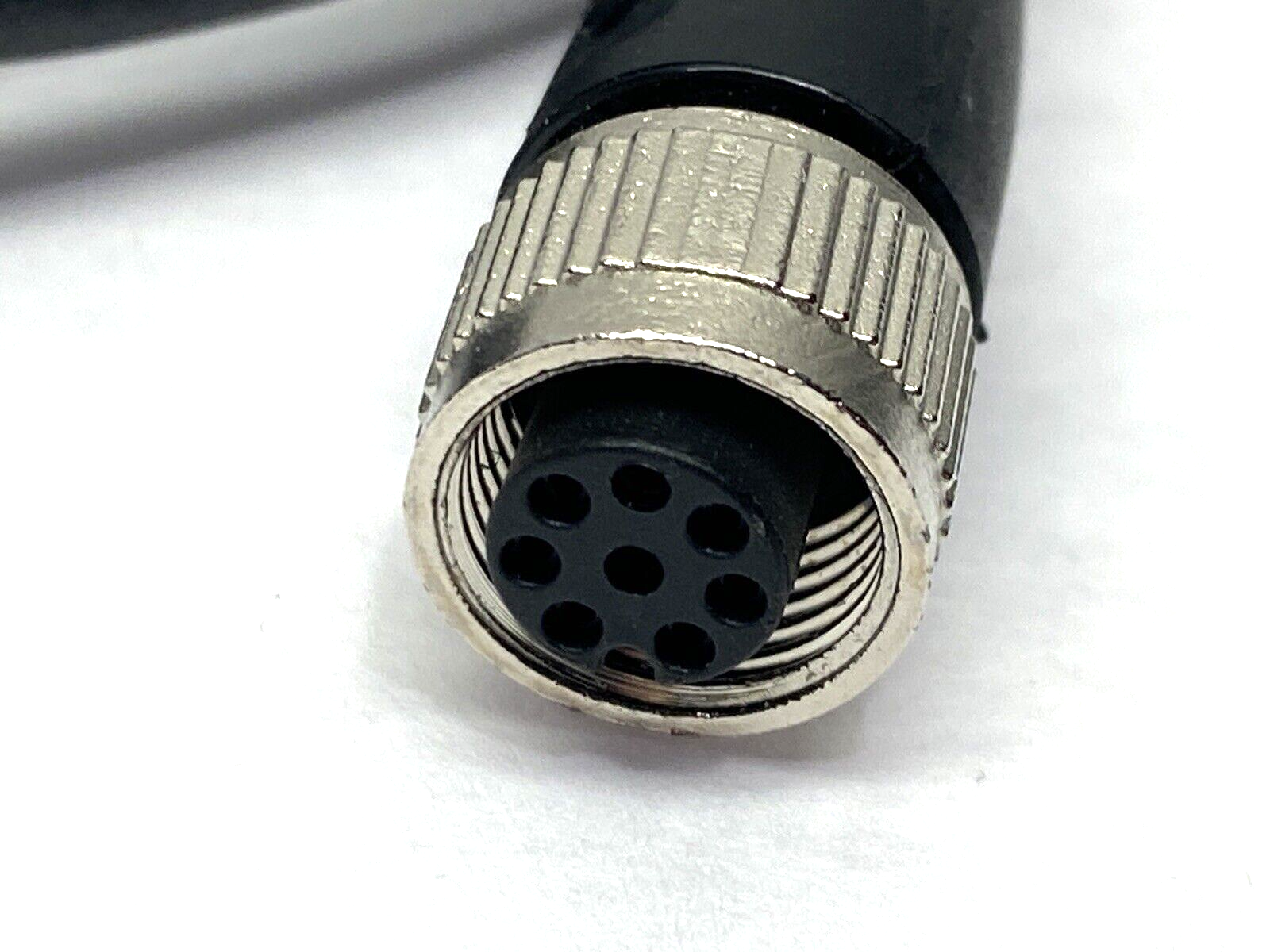 Pepperl+Fuchs V19-G-BK2M-PUR-U/AB Cordset M12 8-Pin Female 2m 226379 - Maverick Industrial Sales
