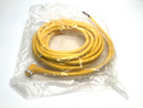 Turck WKM 56-10M Minifast Actuator Sensor Cable Cordset U5141-3, WKM56-10M - Maverick Industrial Sales