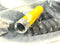 Turck PKG 3M-3-PSW 3M/S90-SP Extension Coil Cordset U99-10726 - Maverick Industrial Sales