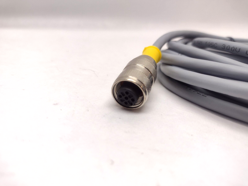 Turck RK 4.4T-2-RS 4.4T Eurofast Molded Cordset M12 M/F U2167-3 - Maverick Industrial Sales