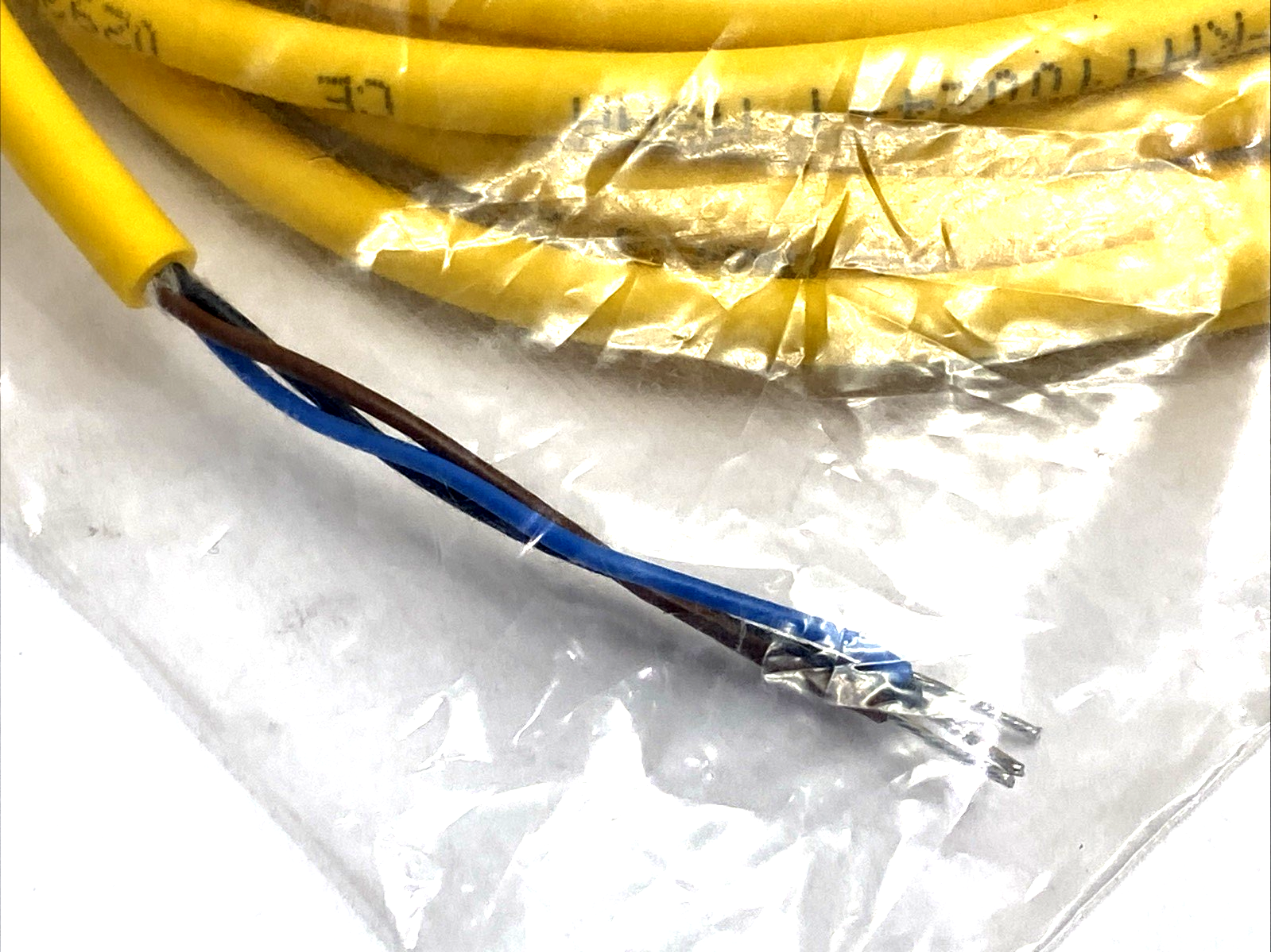PKG 3-5 | Turck Connection Cable M8 3-Pin Female Snap, 5m, U0892-99 - New - Maverick Industrial Sales