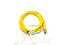 Turck PKG 3M-2-PSG 3M/S3488 Picofast Double Ended Cordset UX11967 - Maverick Industrial Sales