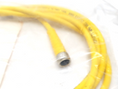 Turck PKG 3M-2 Single Ended Cordset M8 Female 3-Pin 2m U2515-29 LOT OF 2 - Maverick Industrial Sales