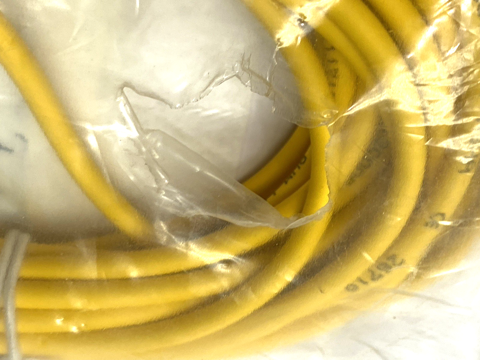 Turck PKG 4M-6 Single-Ended Cordset M8 Female Connector 4-Pin U0058-11 TORN BAG - Maverick Industrial Sales