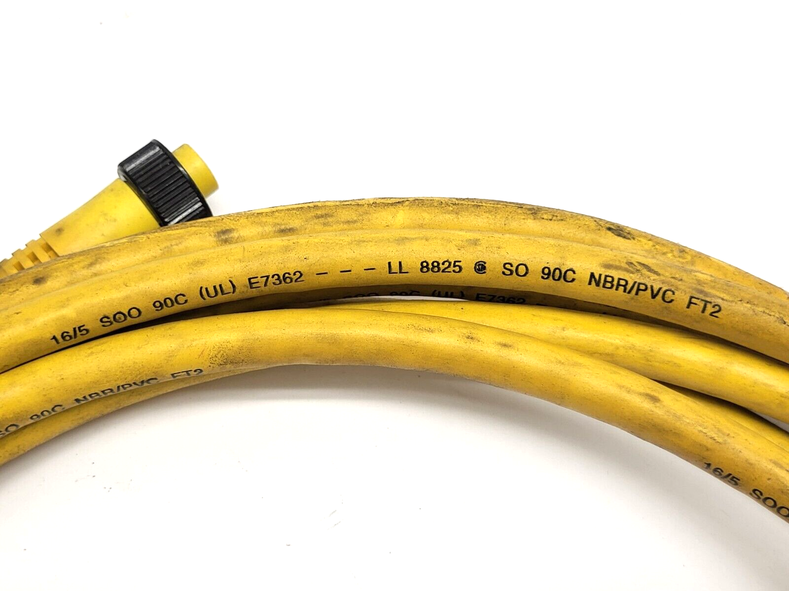 Brad Harrison 105000C01F200 5-Pin Female Connector 2' Cable - Maverick Industrial Sales