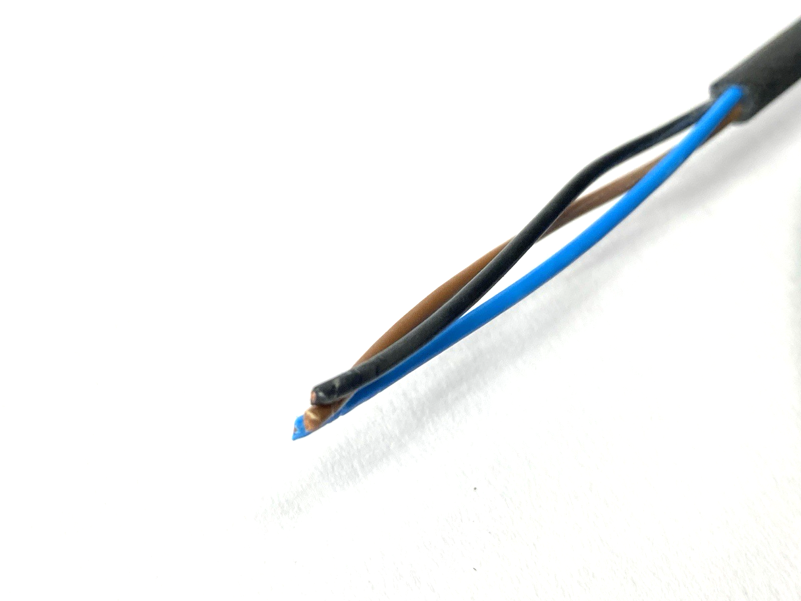 Murrelektronik 7000-08111-6301000 Single-Ended Female Connector Cable M8 10m - Maverick Industrial Sales