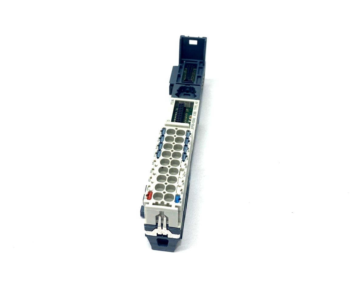 45900446