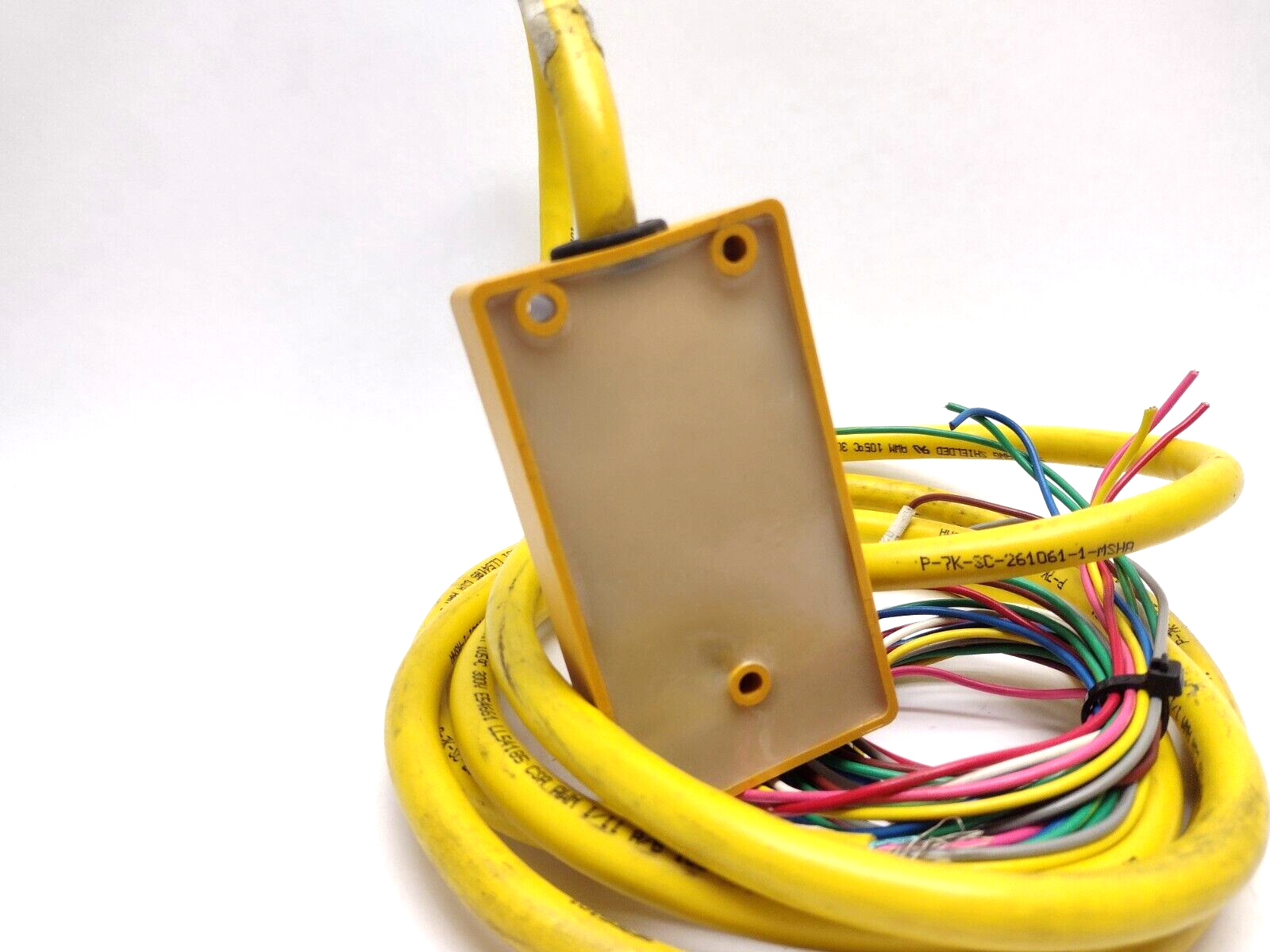 Turck VB 60-5 6-port Multi Box 48V Female M12x1 U7010, 8FT Home Run Cable - Maverick Industrial Sales