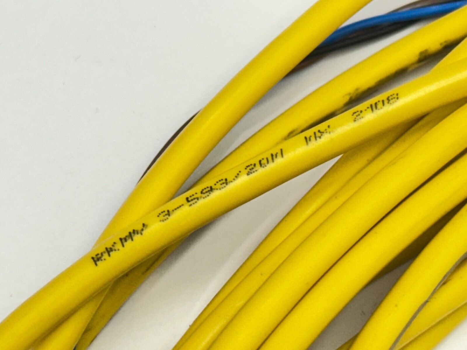 Lumberg Automation RKMV 3-593/20M Sensor / Actuator Cable Female M8 3-Pin 28ft - Maverick Industrial Sales