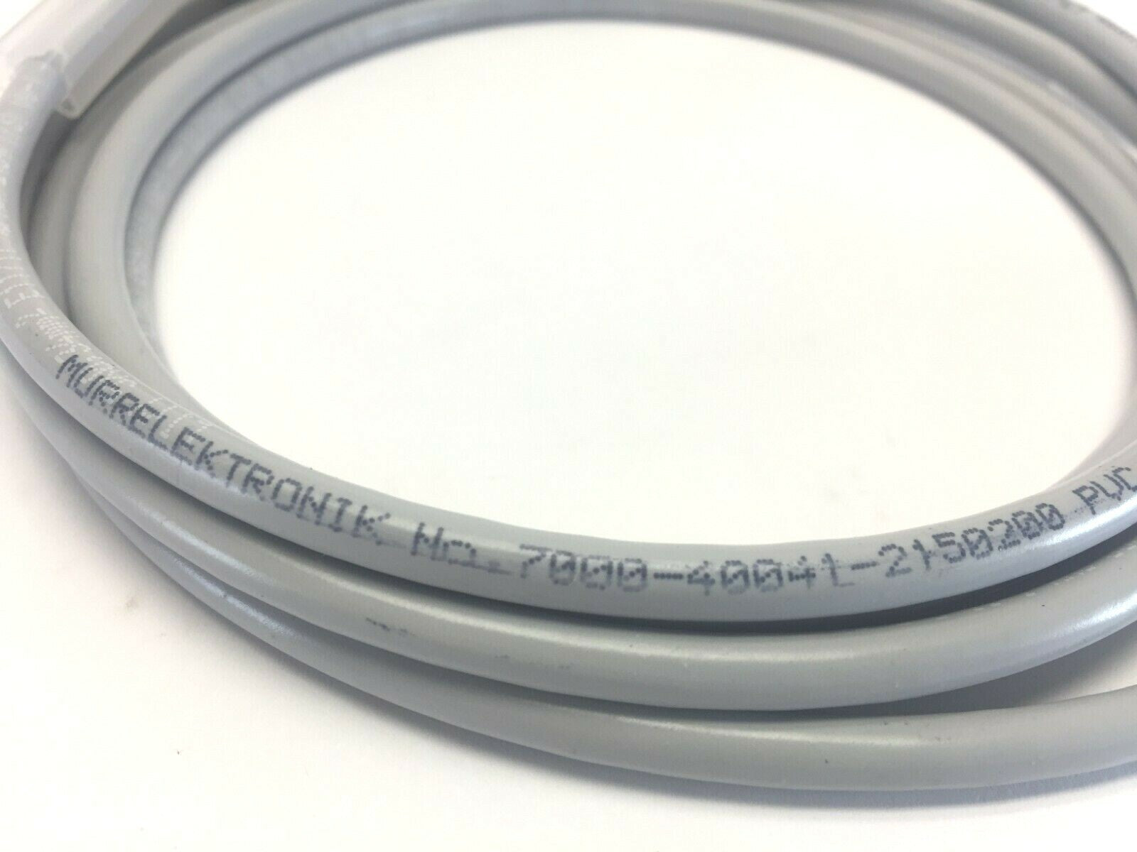Murr Elektronik 7000-40041-2150200 PVC M12 Cordset 2 Meter - Maverick Industrial Sales