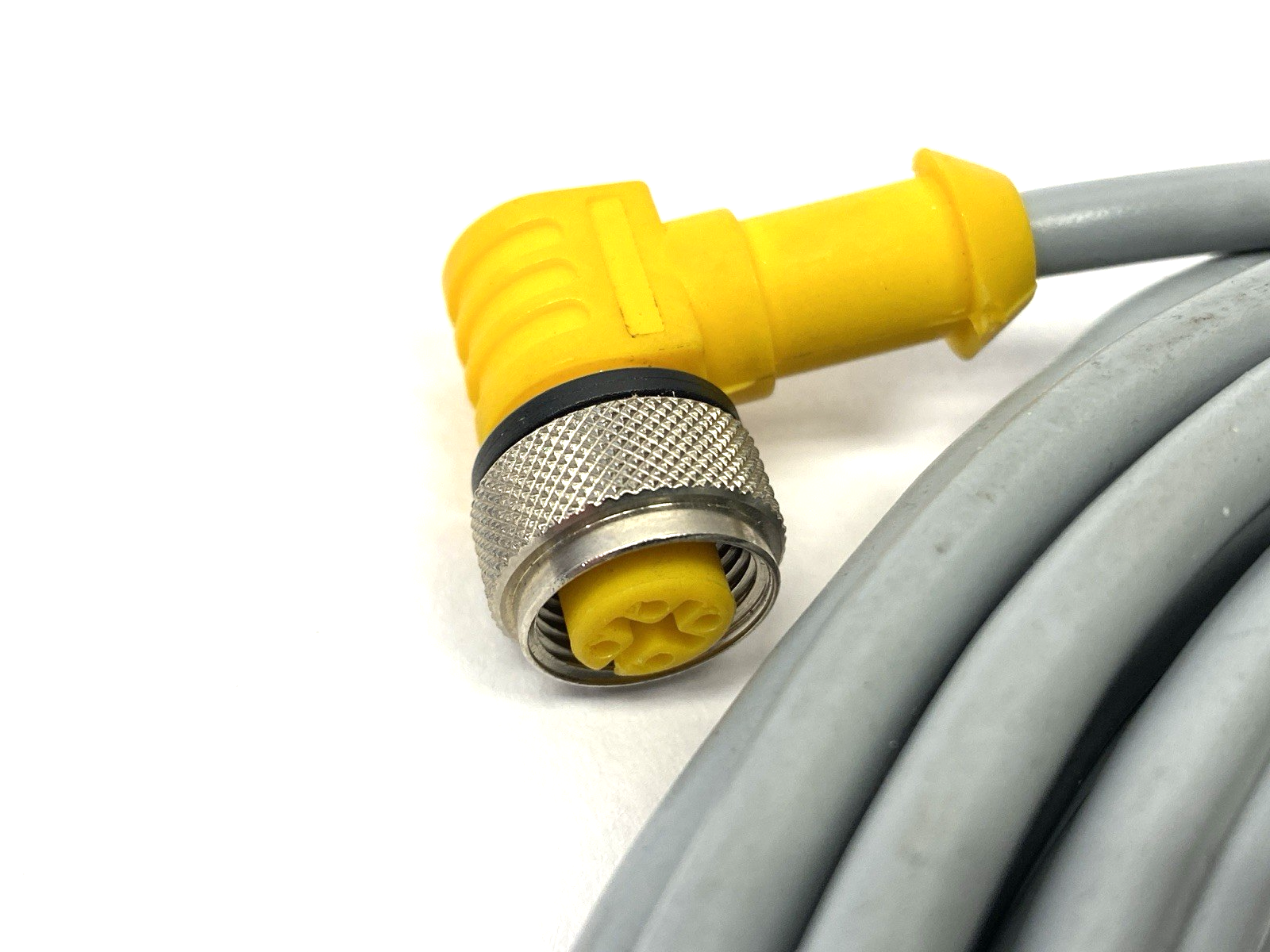 WK 4T-6 | Turck Eurofast Single Ended Cordset Female Connector M12 U2216-0 - Used - Maverick Industrial Sales