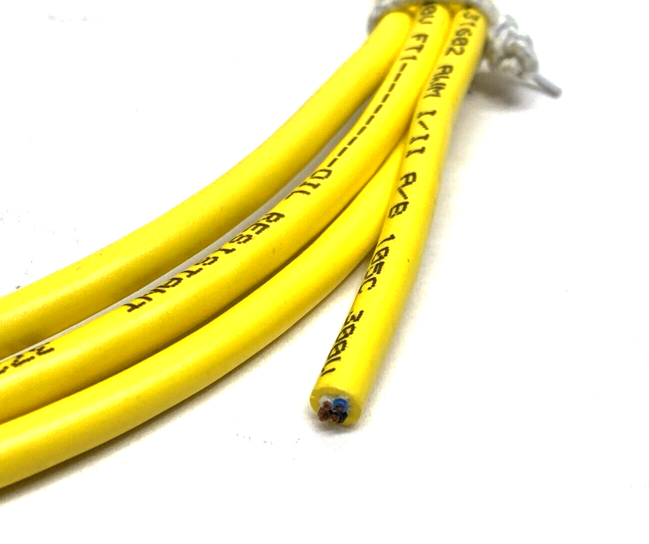 Lumberg Automation RST 4-633/2M Cordset M12 4-Pin Male 2m 600000597 - Maverick Industrial Sales