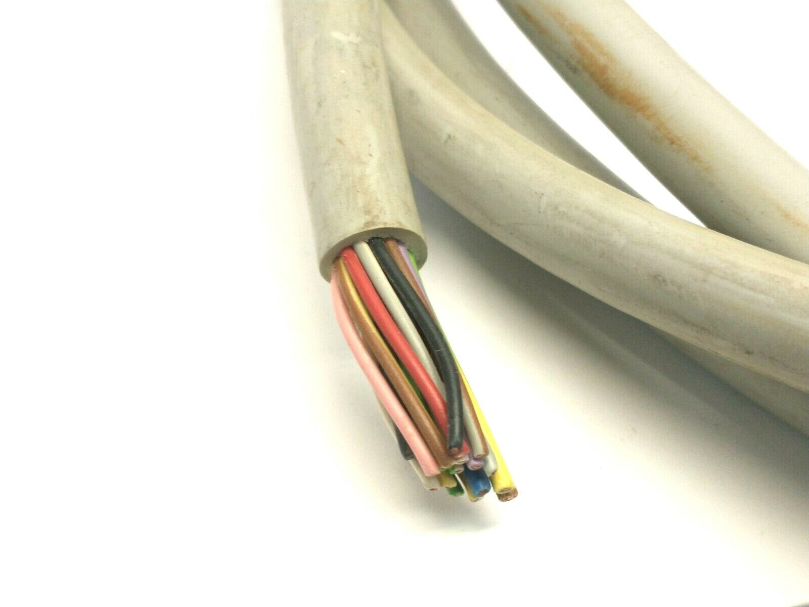 Murr Elektronik 8000-88510-3980500 Exact12 8xM12 5-Pole CABLE CUT TO 7 FEET - Maverick Industrial Sales