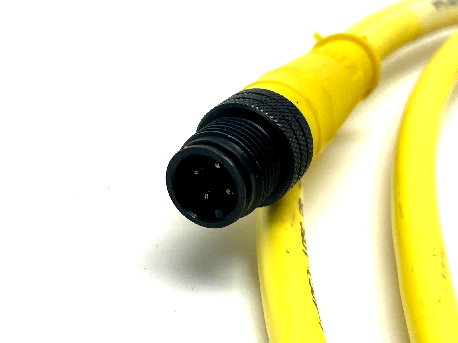 Brad Connectivity 1200668234 Single Ended Cordset 5ft Length - Maverick Industrial Sales