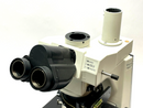 Nikon Eclipse 50i Microscope Y-IDP - Maverick Industrial Sales