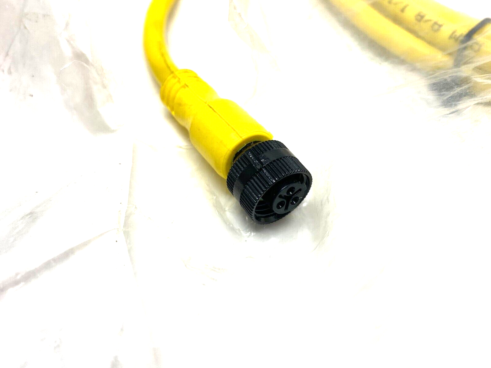 Allen Bradley 889R-F3AEA-2 Ser. B Straight AC Micro Cordset 3-Pin Female, 2m - Maverick Industrial Sales