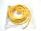 Turck WKM 56-10M Minifast Actuator Sensor Cable Cordset U5141-3, WKM56-10M - Maverick Industrial Sales