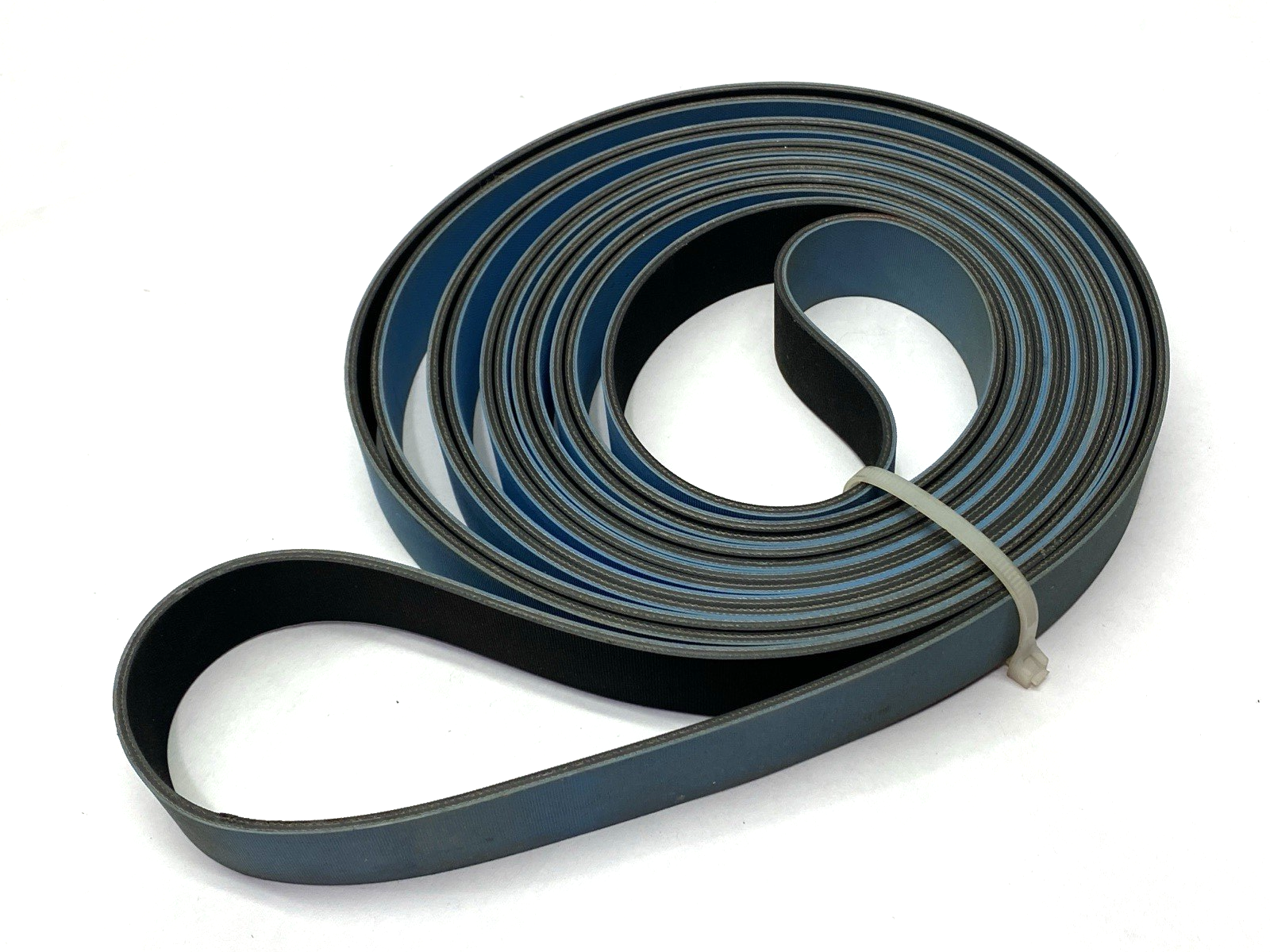 Nitta 28X5600 Poly Belt M-1000 - Maverick Industrial Sales