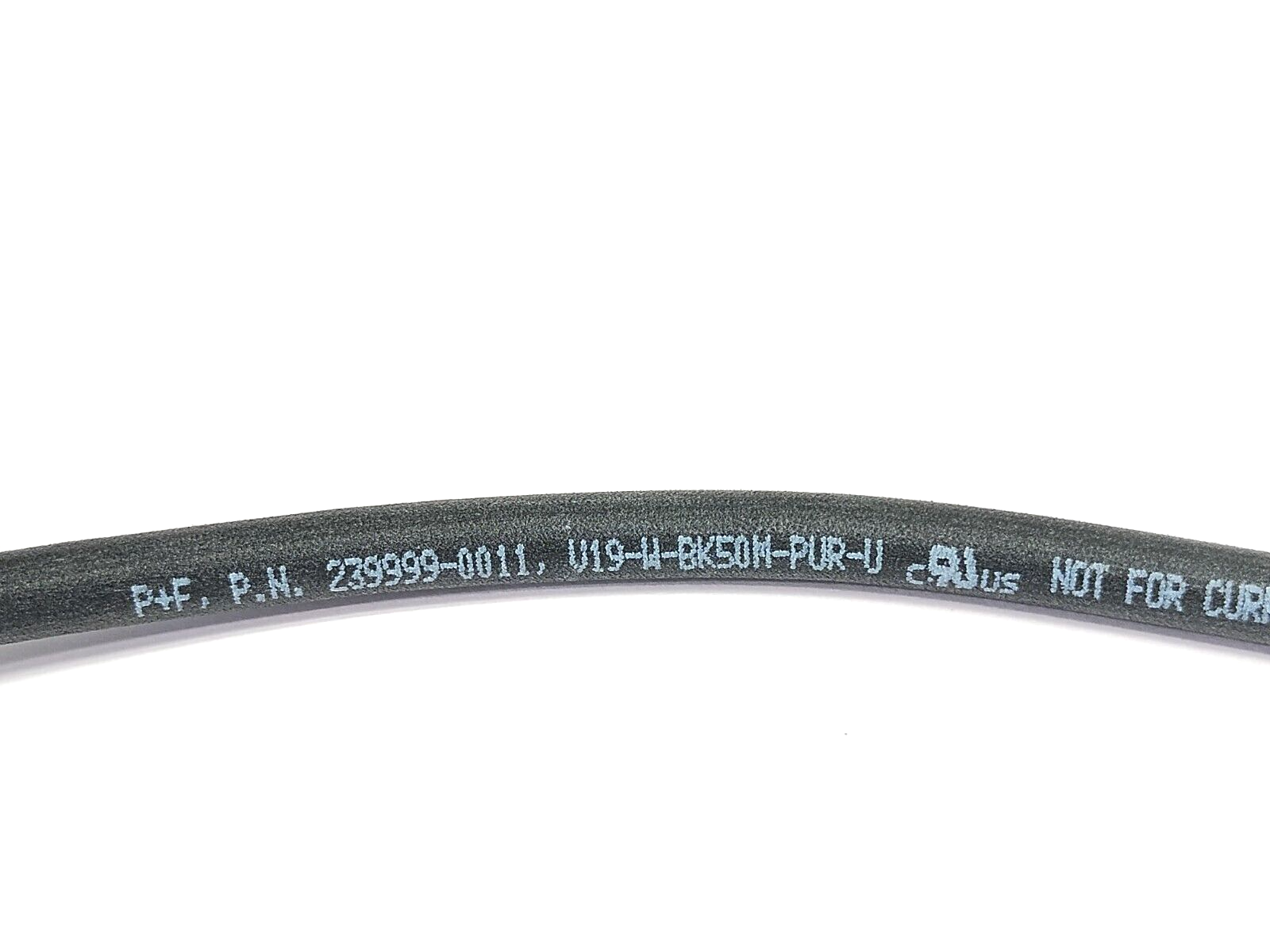 Pepperl+Fuchs V19-W-BK50M-PUR-U Female Cable M12 8-Pin To leads 50m 239999-0011 - Maverick Industrial Sales