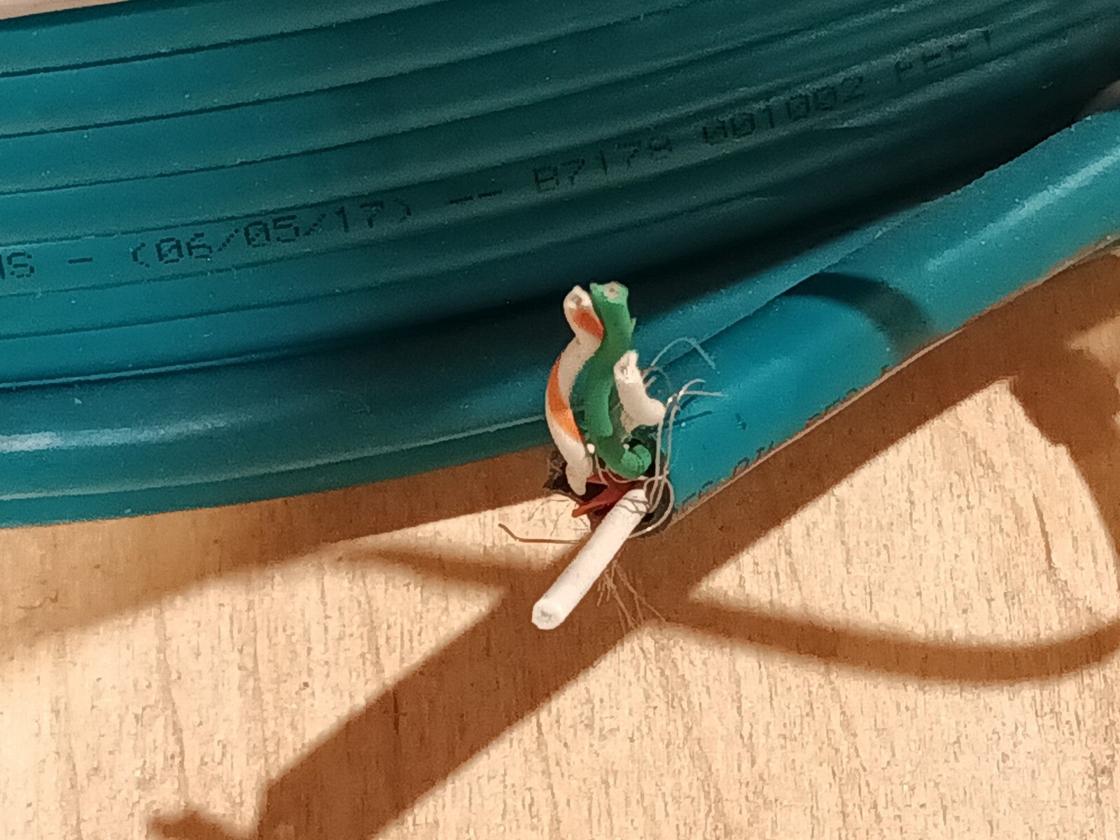 SAB 6752202 Industrial Ethernet Cable Cat5e 22 AWG Teal PVC 10' FT - Maverick Industrial Sales