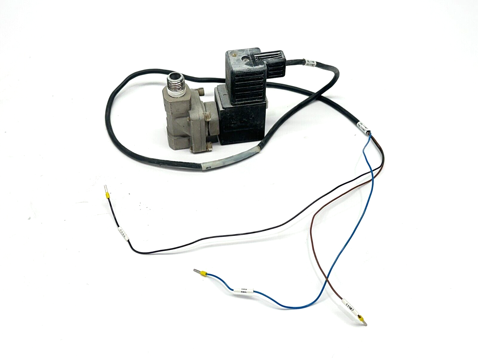SMC VXD2130G-02N-5DZ1 2-Way Media Valve 1/4" 24VDC w/ Turck VAS 22-B587-5M 24" L - Maverick Industrial Sales