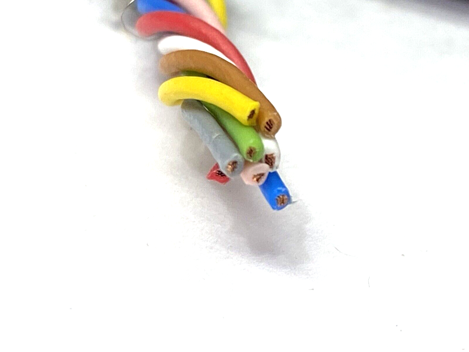 Pepperl+Fuchs V19-G-BK2M-PUR-U/AB Cordset M12 8-Pin Female 2m 226379 - Maverick Industrial Sales