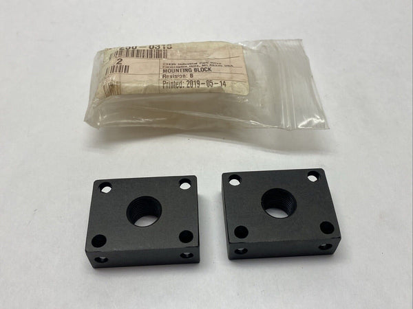 ACE Controls 250-0310 Rev B Mounting Block PKG OF 2