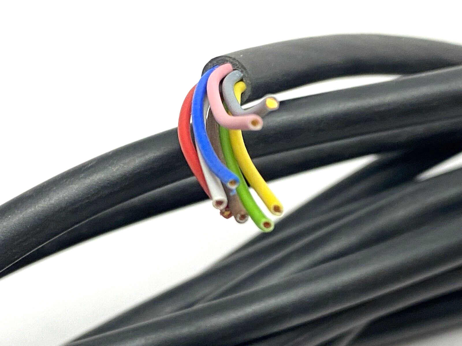 Pepperl+Fuchs V19-G-BK10M-PVC-U Single-Ended M12 Female Cordset 239998-0051 - New – Open box - Maverick Industrial Sales