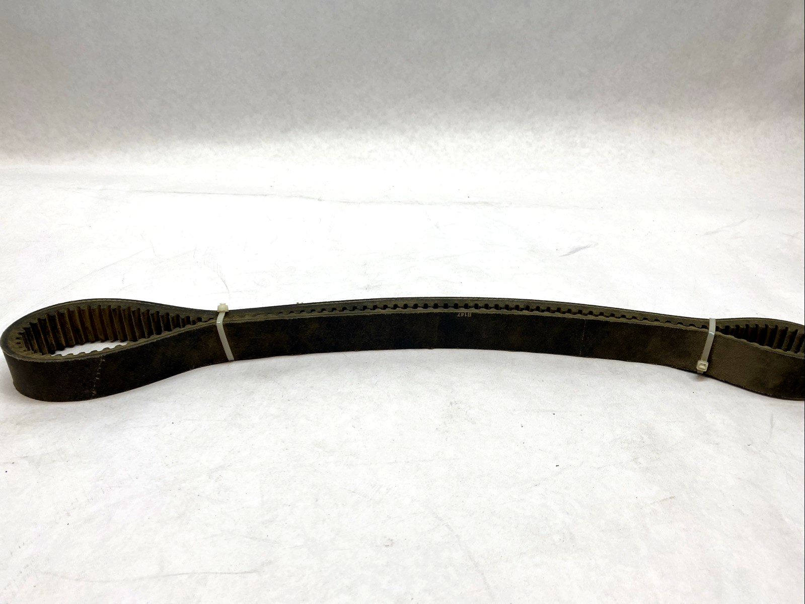 1922V454 Toothed Belt - Maverick Industrial Sales