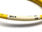 Turck RKM 40-2M Actuator & Sensor Cable 7/8" 4-Pin Female 2m, U2043 - Maverick Industrial Sales