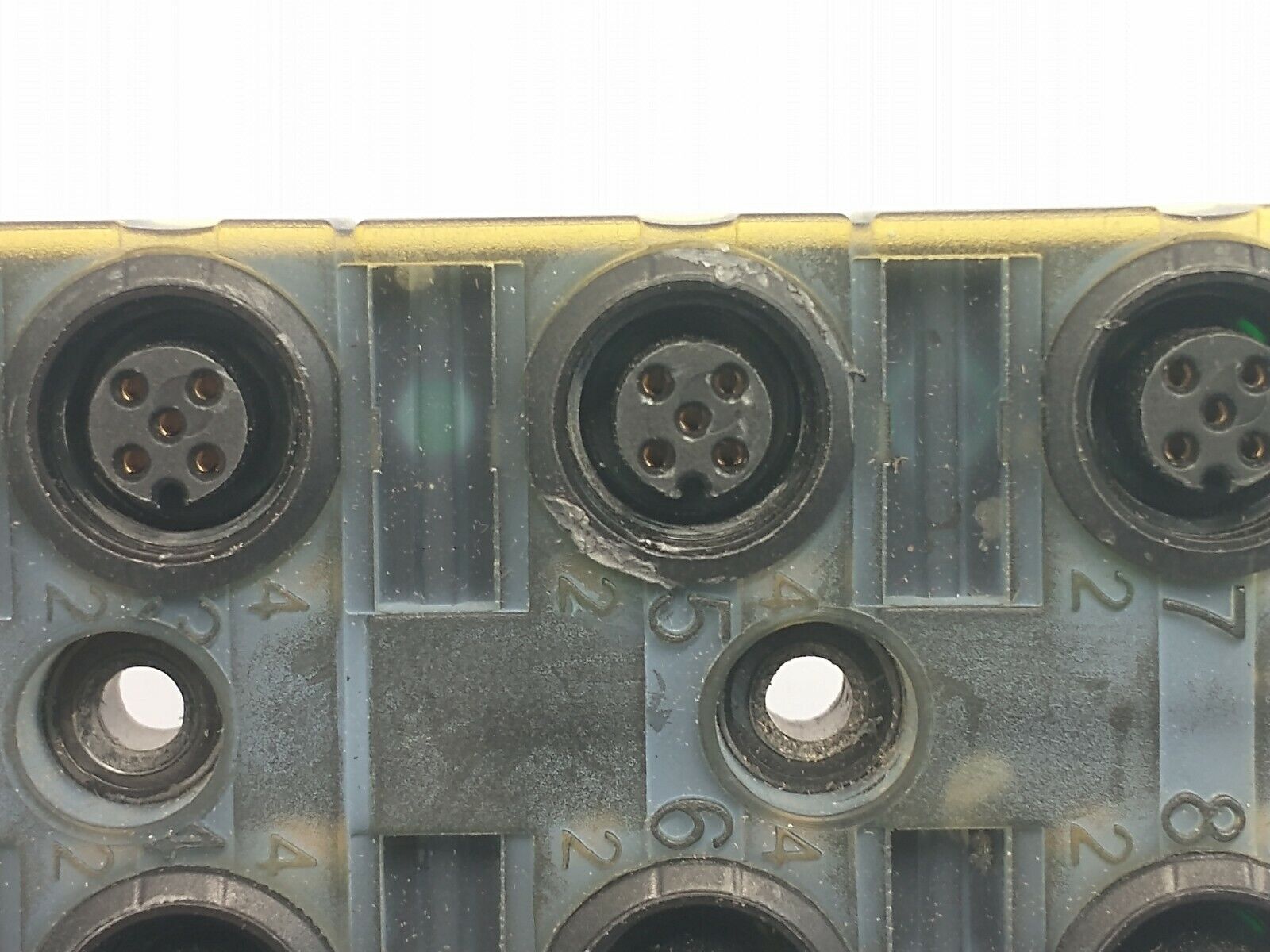 Murr Elektronik 8000-88510-3980500 Exact12 8xM12 5-Pole CABLE CUT TO 7 FEET - Maverick Industrial Sales