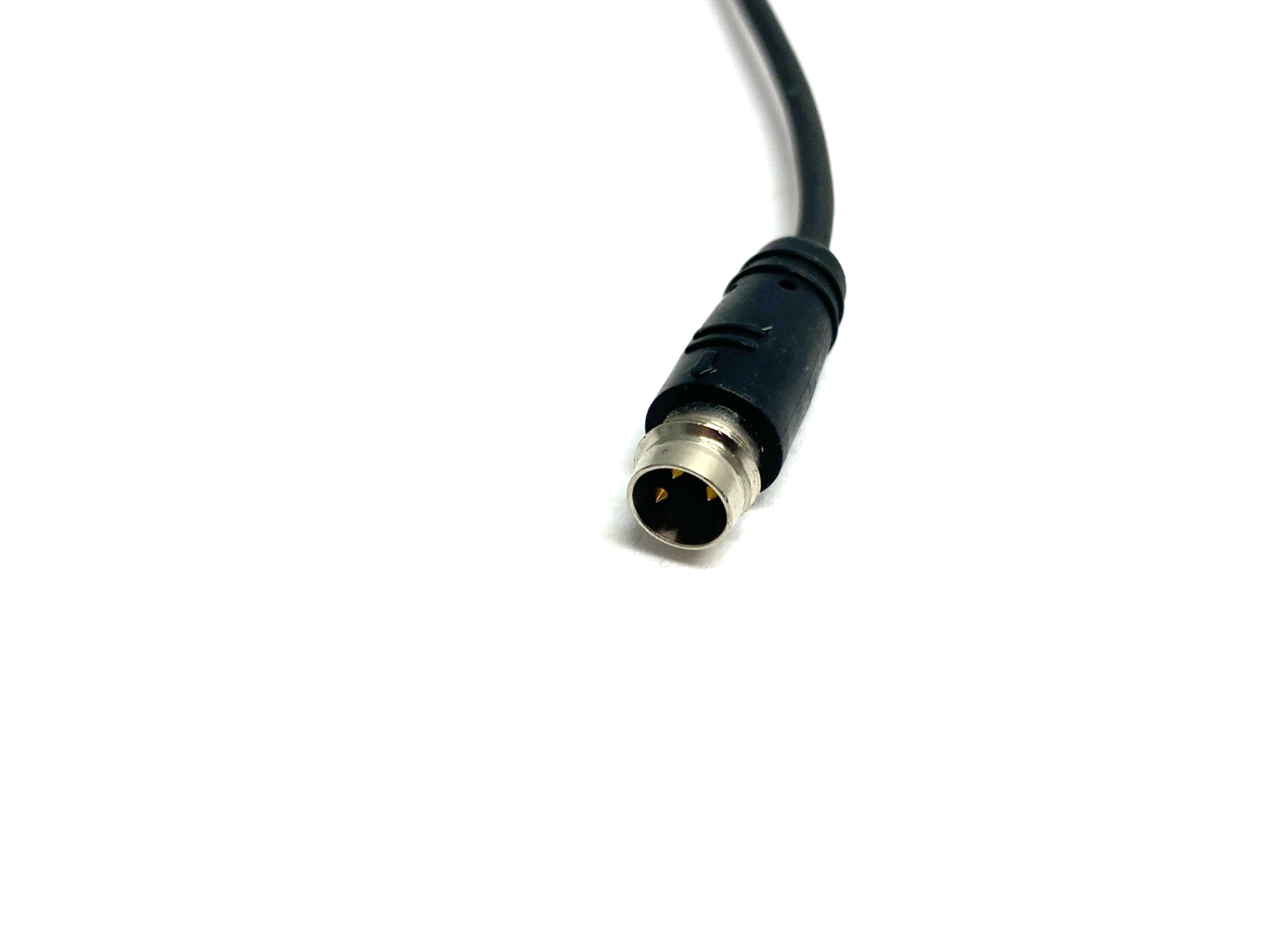 45510058