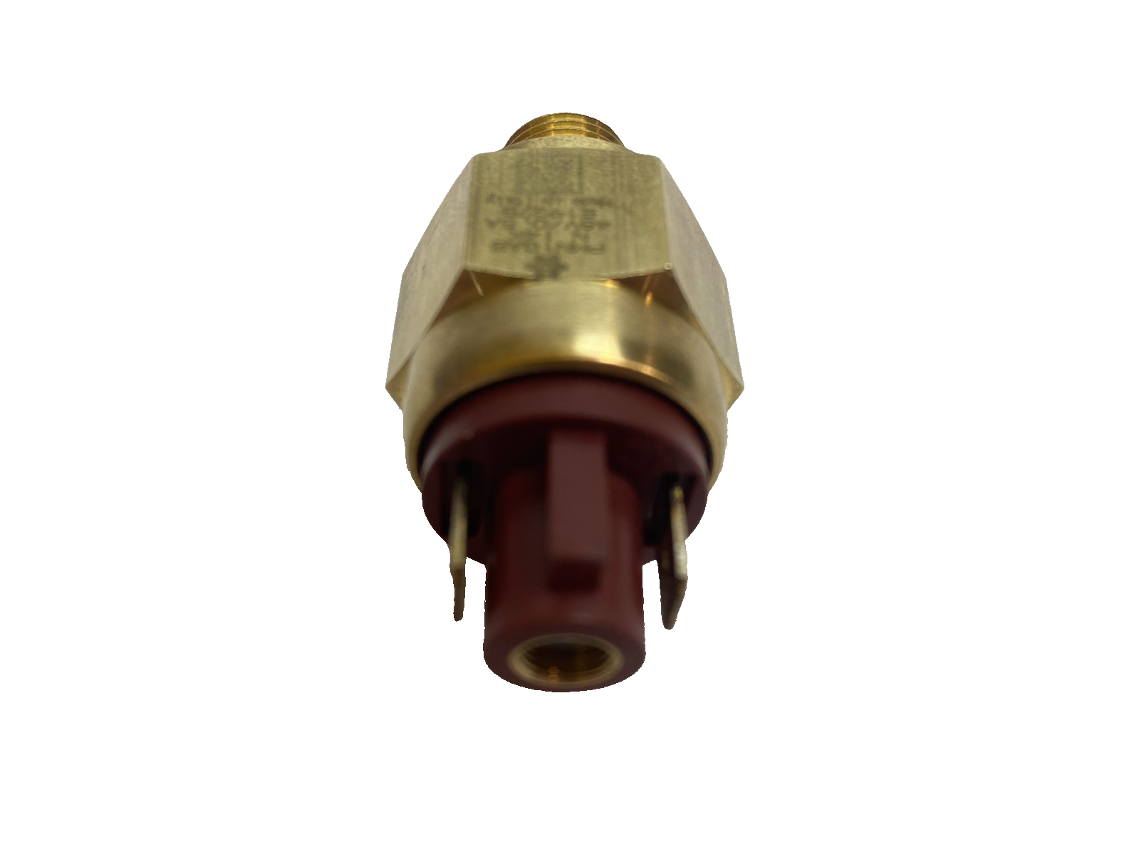 Elettrotec PMN10ABN14K Brass Electric Pressure Switch - Maverick Industrial Sales