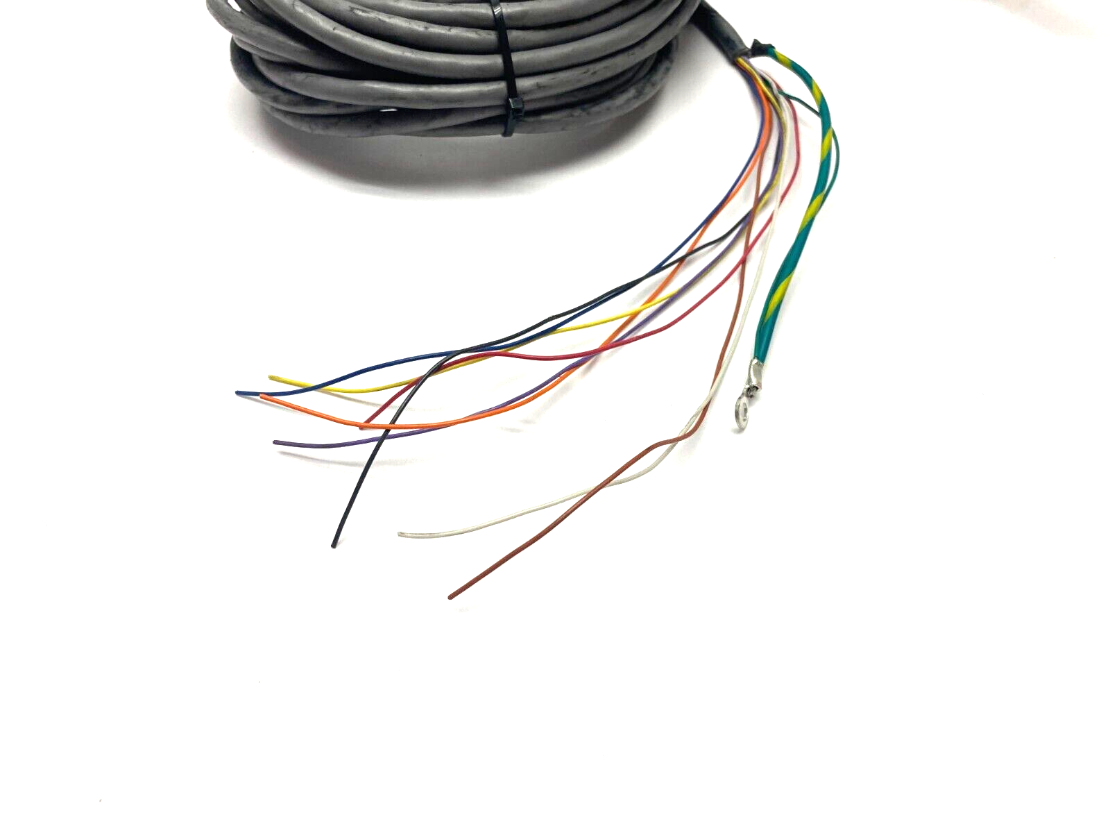 Ametek Brookfield 2" Dia. Stainless Steel Probe, 60mm Probe Length - Maverick Industrial Sales