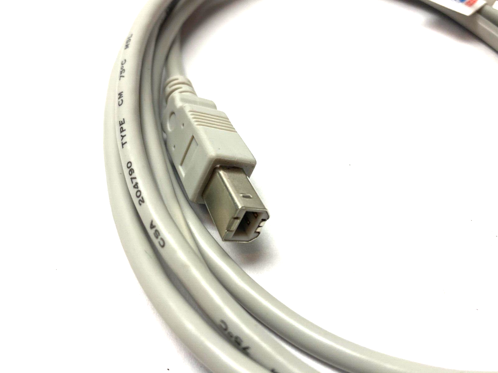 Advantech B+B SmartWorx TID 60000467 USB AM/BM Printer Cable 6' Length, GRAY - Maverick Industrial Sales
