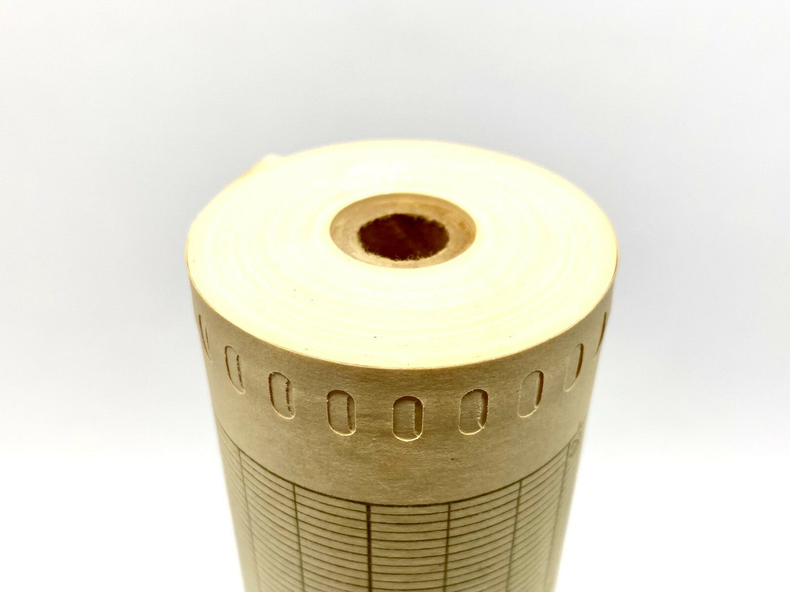 Graphic Controls 10931 Strip Chart Paper -30 to 80 Range 12-1/2" Wide Roll - Maverick Industrial Sales