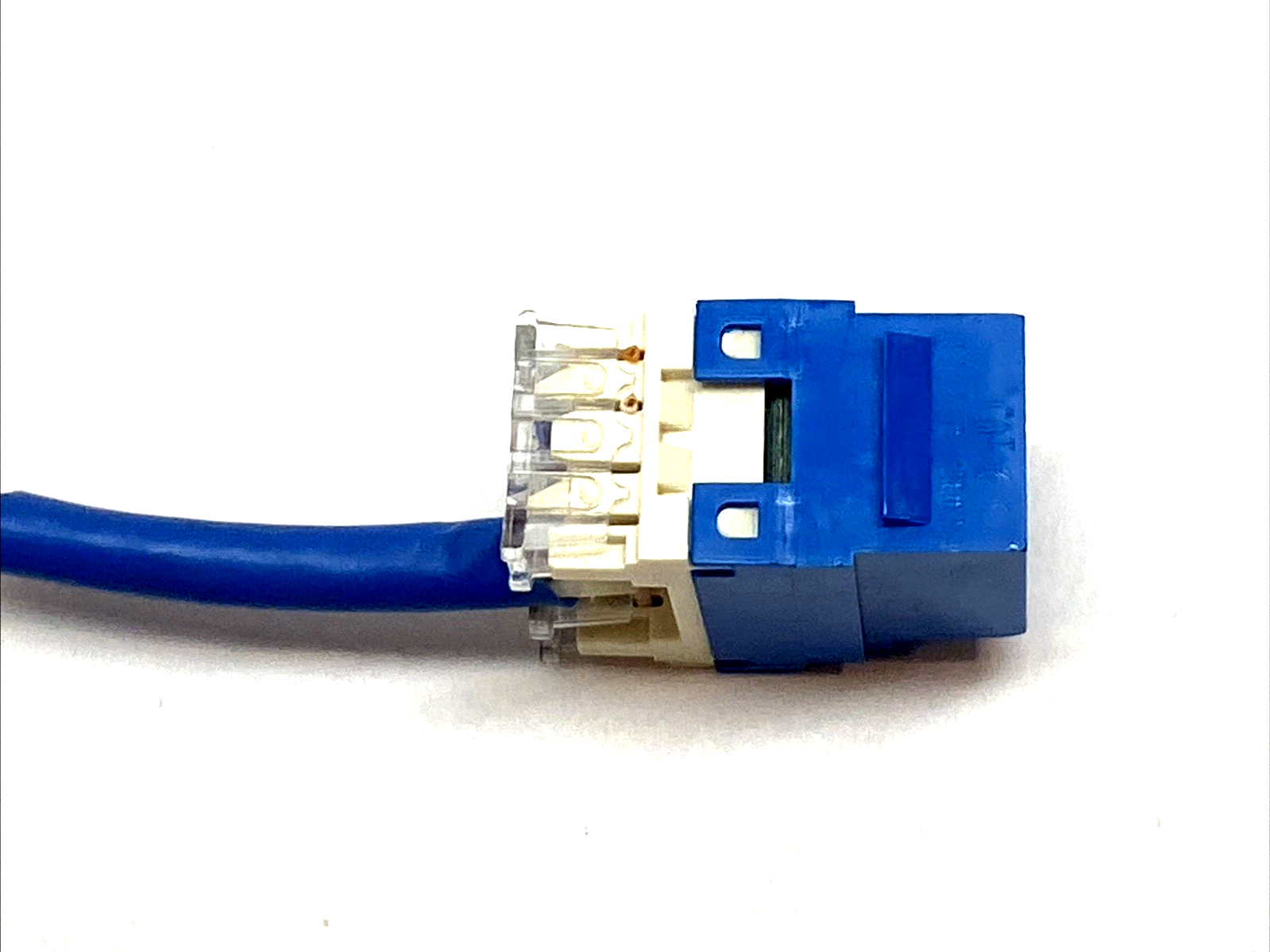 Panduit NK688MBU NetKey Cat6 RJ45 Keystone Jack, UTP Blue LOT OF 2 - Maverick Industrial Sales