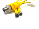 Turck VBRS 4.4-2PKG 3M-0.3/0.3 Molded Twin-Junction Cable U0117-3 - Maverick Industrial Sales