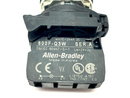 Allen Bradley 800FM-FA1 Pushbutton w/ 800F-Q3K Ser. A Lamp - Maverick Industrial Sales